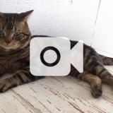 21位のイメージ