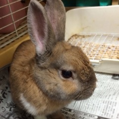 16位のイメージ