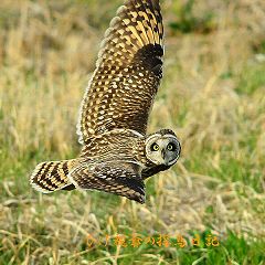 21位のイメージ