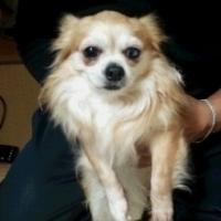 72位のイメージ