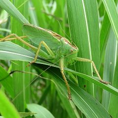 12位のイメージ