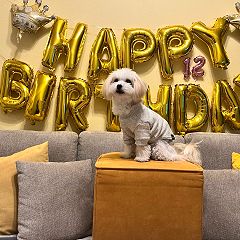 19位のイメージ