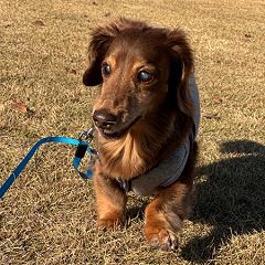 17位のイメージ