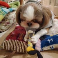 15位のイメージ