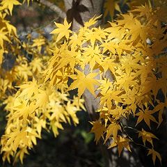 67位のイメージ