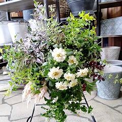 14位のイメージ