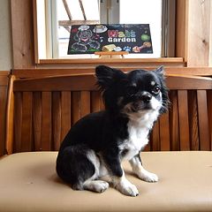 11位のイメージ