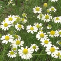 37位のイメージ