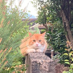 74位のイメージ