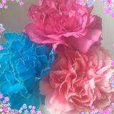 190位のイメージ