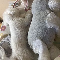 63位のイメージ