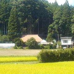 96位のイメージ