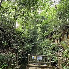 12位のイメージ