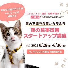 17位のイメージ