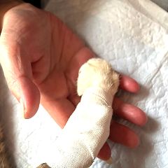 24位のイメージ