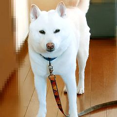 15位のイメージ