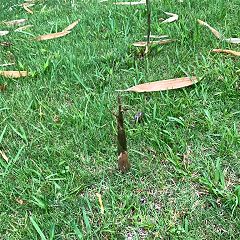 303位のイメージ