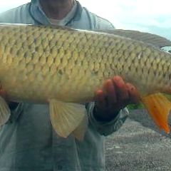 18位のイメージ