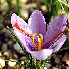 57位のイメージ