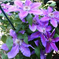 47位のイメージ