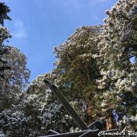 21位のイメージ