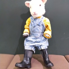 20位のイメージ