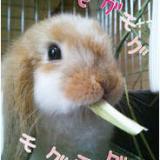 27位のイメージ