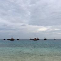 15位のイメージ