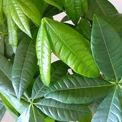 1639位のイメージ