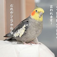 36位のイメージ