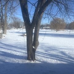 215位のイメージ