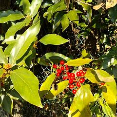 24位のイメージ