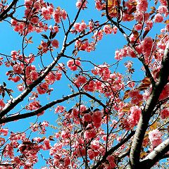 74位のイメージ