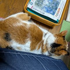 13位のイメージ