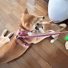 18位のイメージ