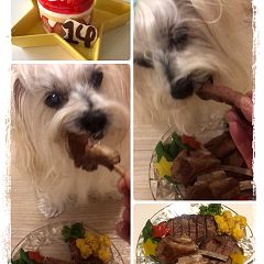 15位のイメージ