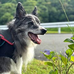 29位のイメージ