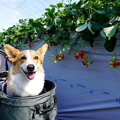 38位のイメージ