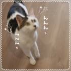 27位のイメージ