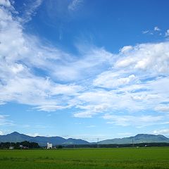 14位のイメージ