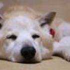 16位のイメージ