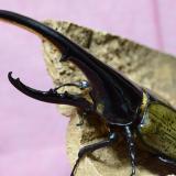 16位のイメージ