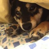 28位のイメージ