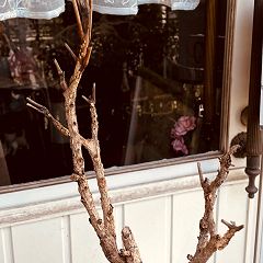 252位のイメージ