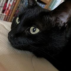 18位のイメージ