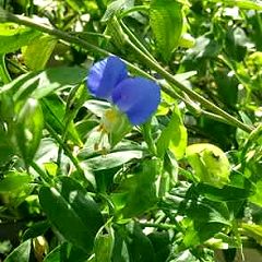 123位のイメージ