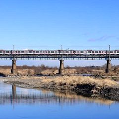 116位のイメージ