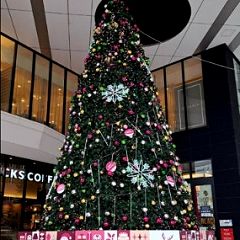 63位のイメージ