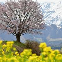 20位のイメージ