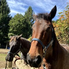 30位のイメージ